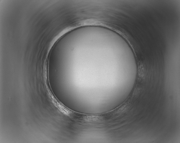 X0000077311150200610201146