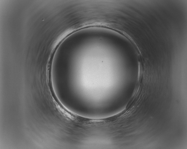 X0000077311151200610201146