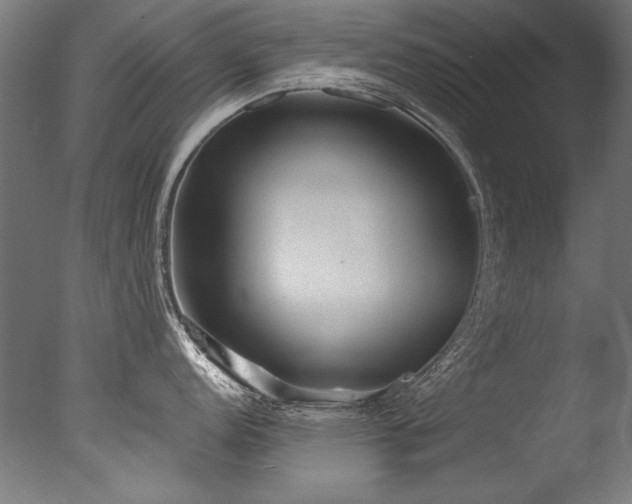 X0000077311152200610201146