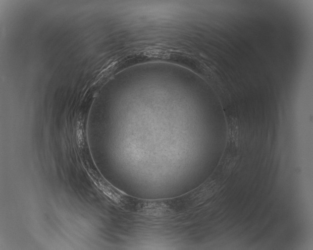 X0000077311154200610201146