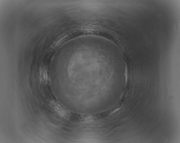 X0000077311155200610201146