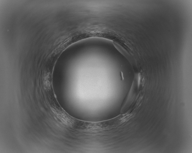 X0000077311156200610201146