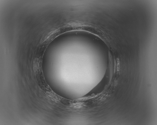 X0000077311157200610201146