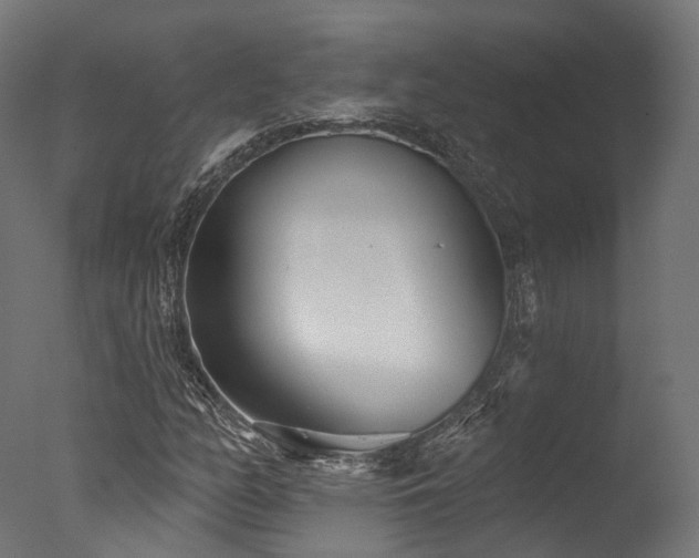 X0000077311158200610201146