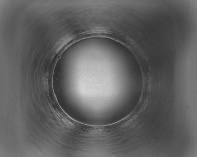 X0000077311162200610201145