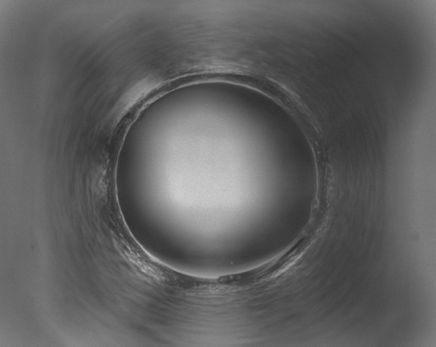 X0000077311163200610201145