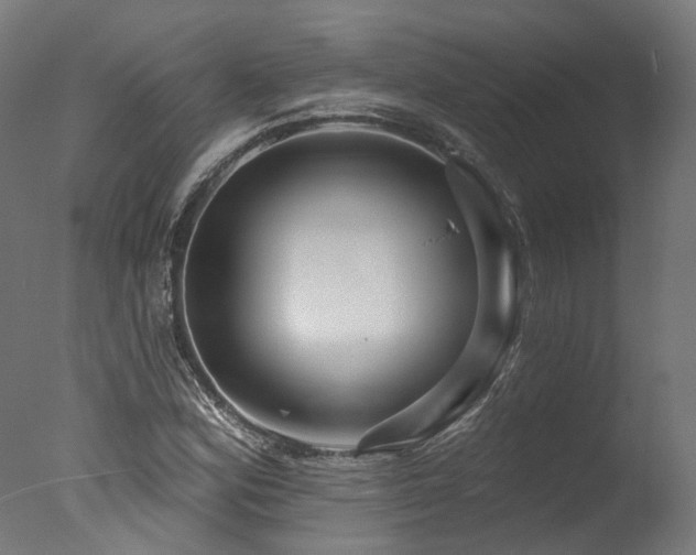 X0000077311164200610201145