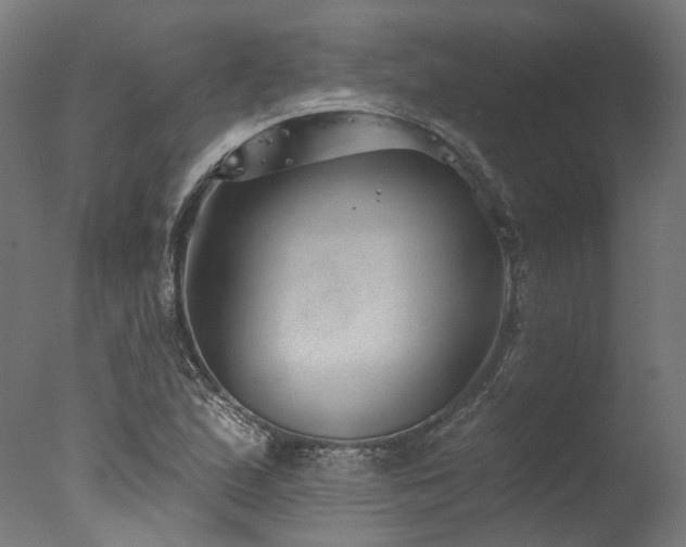 X0000077311167200610201145
