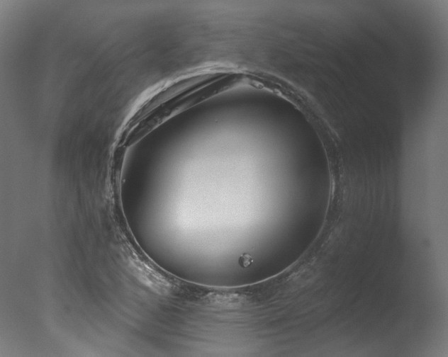 X0000077311168200610201145