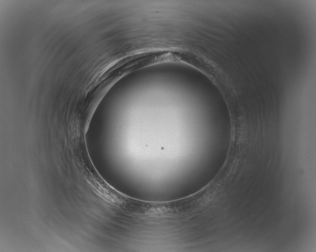 X0000077311169200610201145
