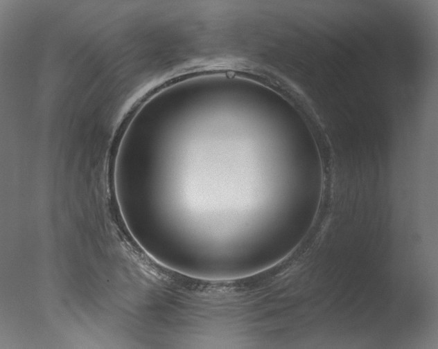 X0000077311174200610201145
