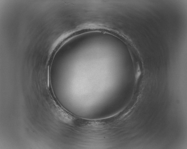 X0000077311175200610201145