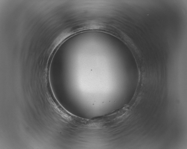 X0000077311178200610201145