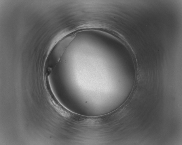 X0000077311179200610201145
