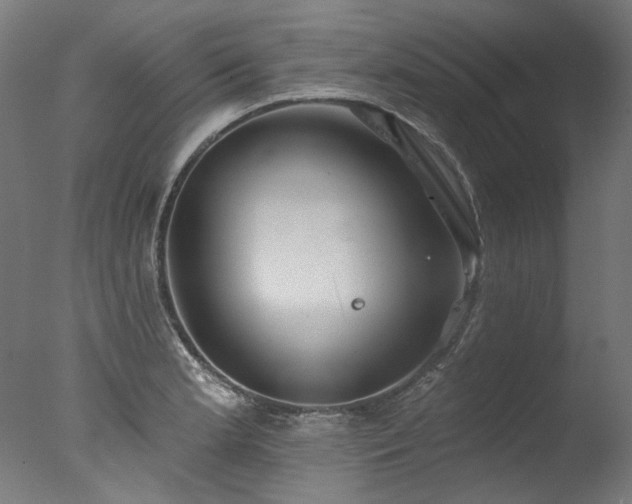 X0000077311181200610201145