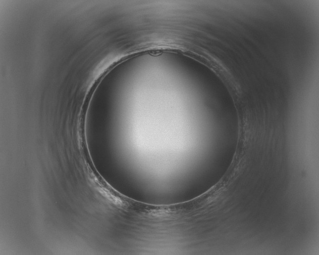 X0000077311182200610201145