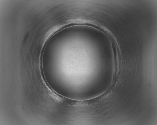X0000077311183200610201145