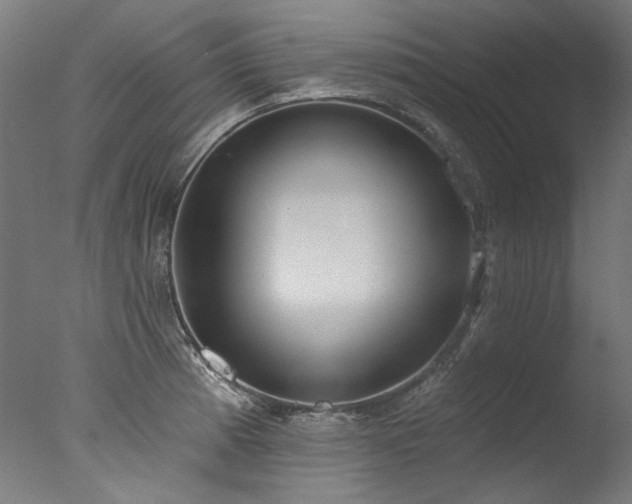 X0000077311185200610201145