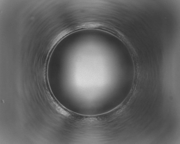 X0000077311186200610201145