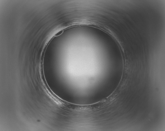 X0000077311187200610201145