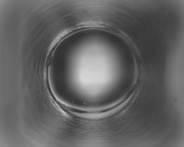 X0000077311188200610201145