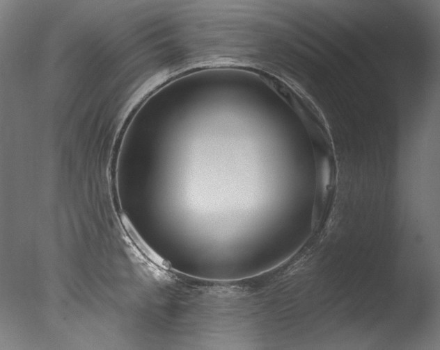 X0000077311189200610201145