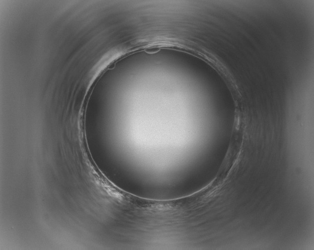 X0000077311190200610201145