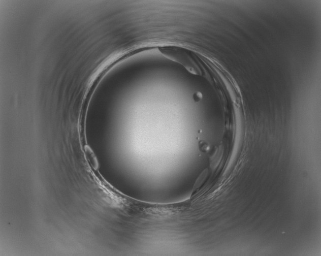 X0000077311197200610201145