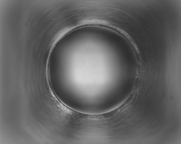 X0000077311199200610201145