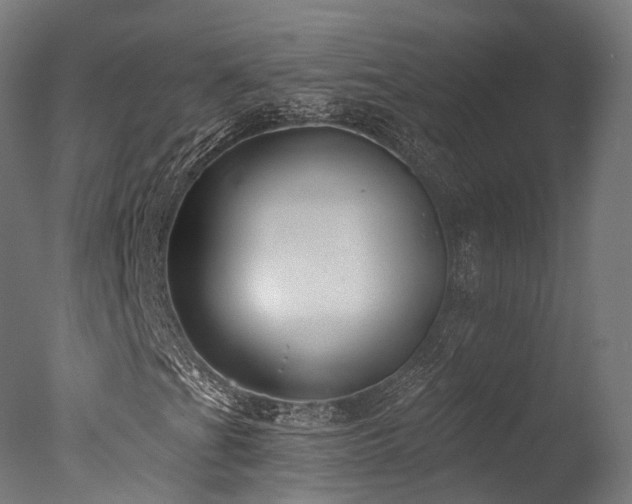 X0000077311201200610201144