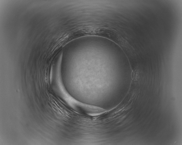 X0000077311202200610201144