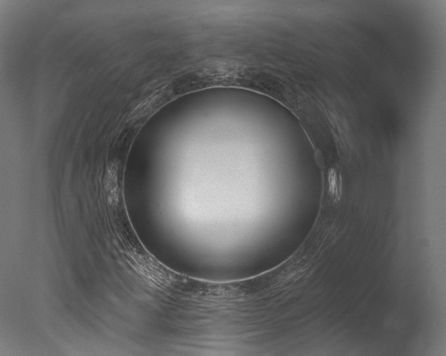 X0000077311203200610201144