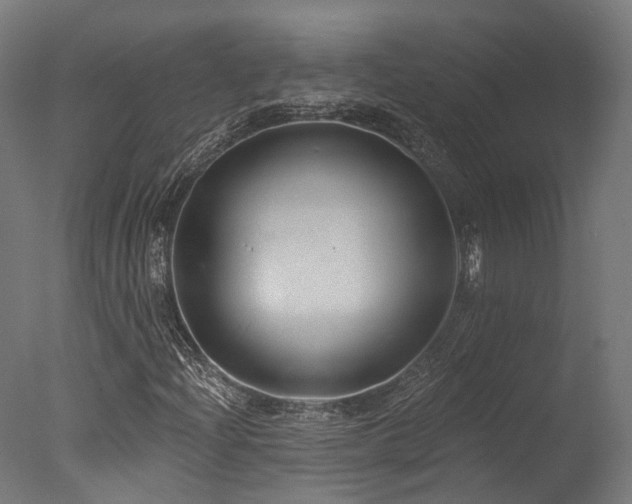 X0000077311204200610201144