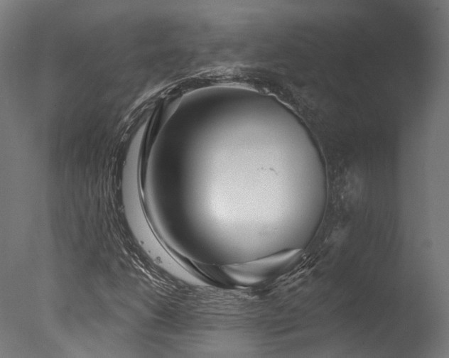 X0000077311206200610201144