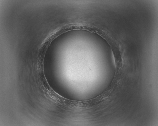 X0000077311207200610201144