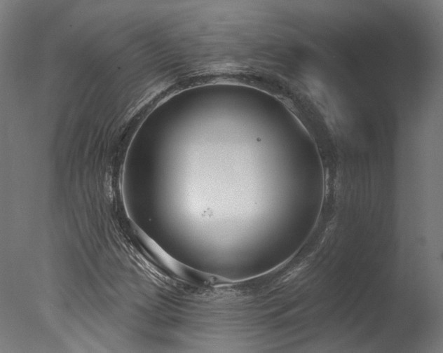 X0000077311209200610201144