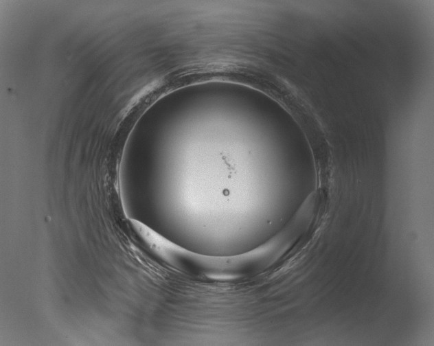 X0000077311210200610201144