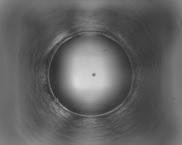 X0000077311211200610201144