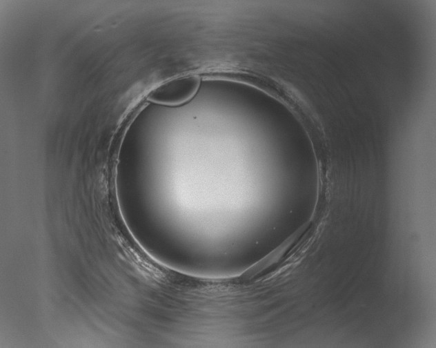 X0000077311212200610201144