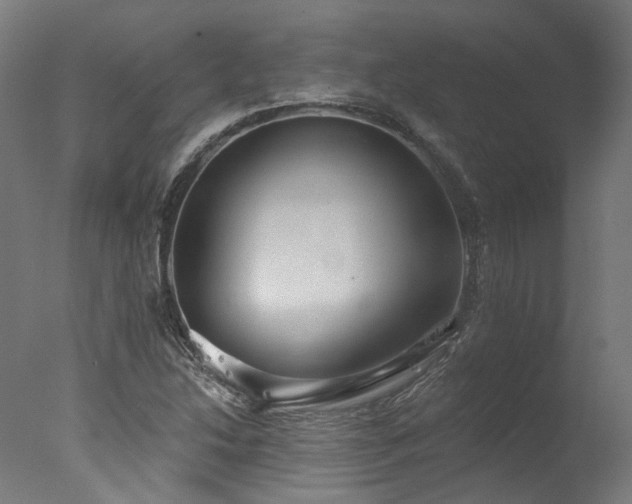 X0000077311214200610201144