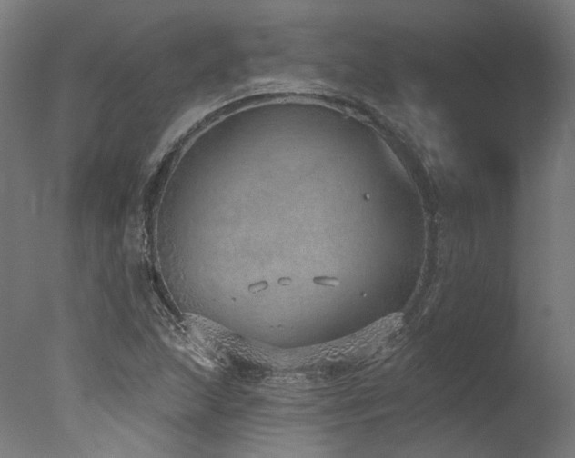 X0000077311215200610201144