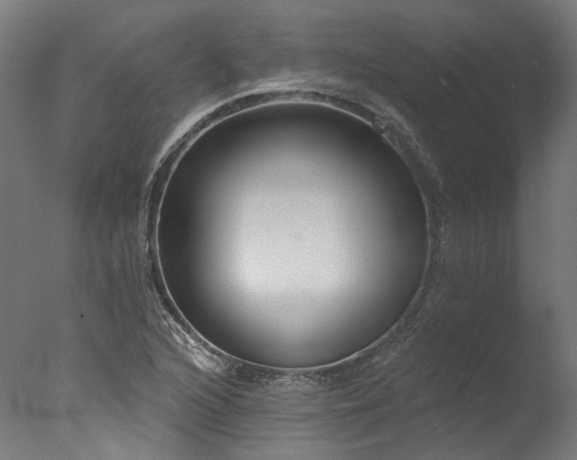 X0000077311216200610201144
