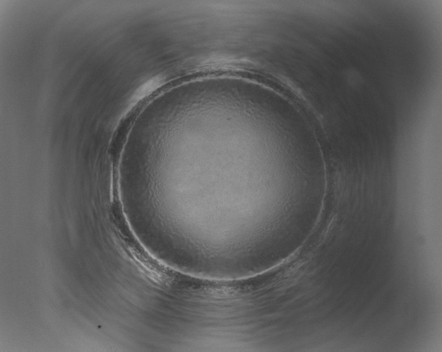 X0000077311219200610201144
