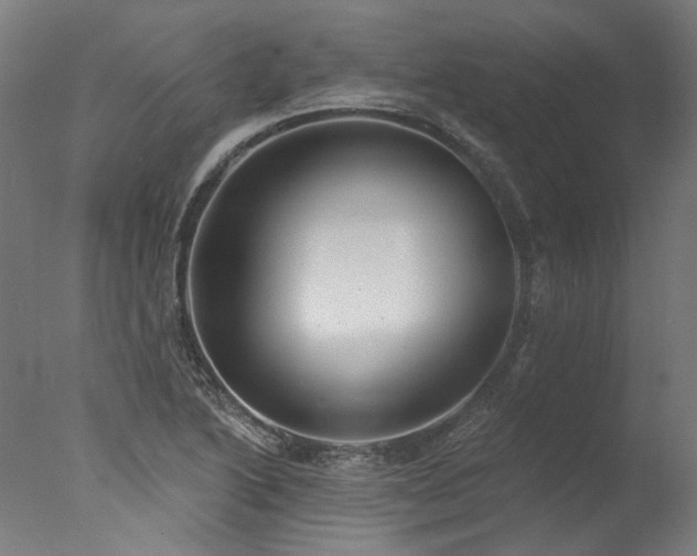 X0000077311222200610201144