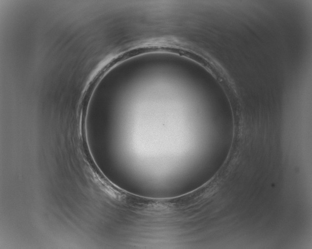 X0000077311224200610201144