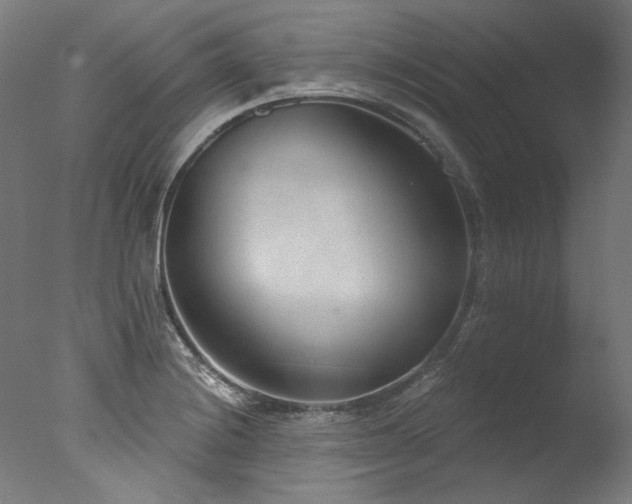 X0000077311228200610201144