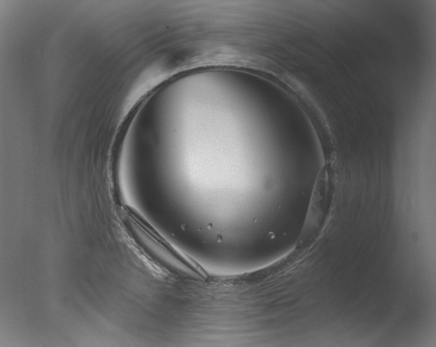 X0000077311230200610201145