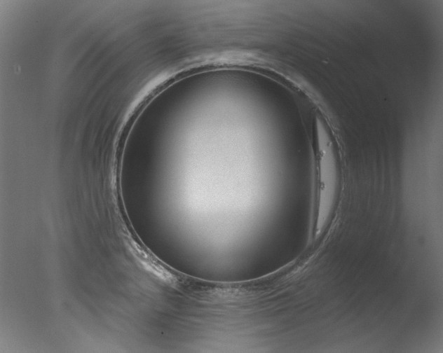 X0000077311232200610201145