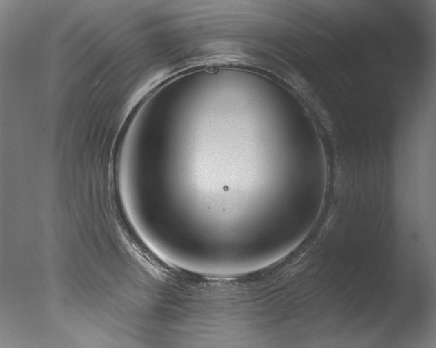 X0000077311234200610201145