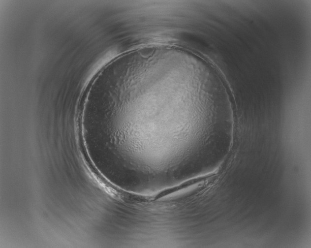 X0000077311235200610201145